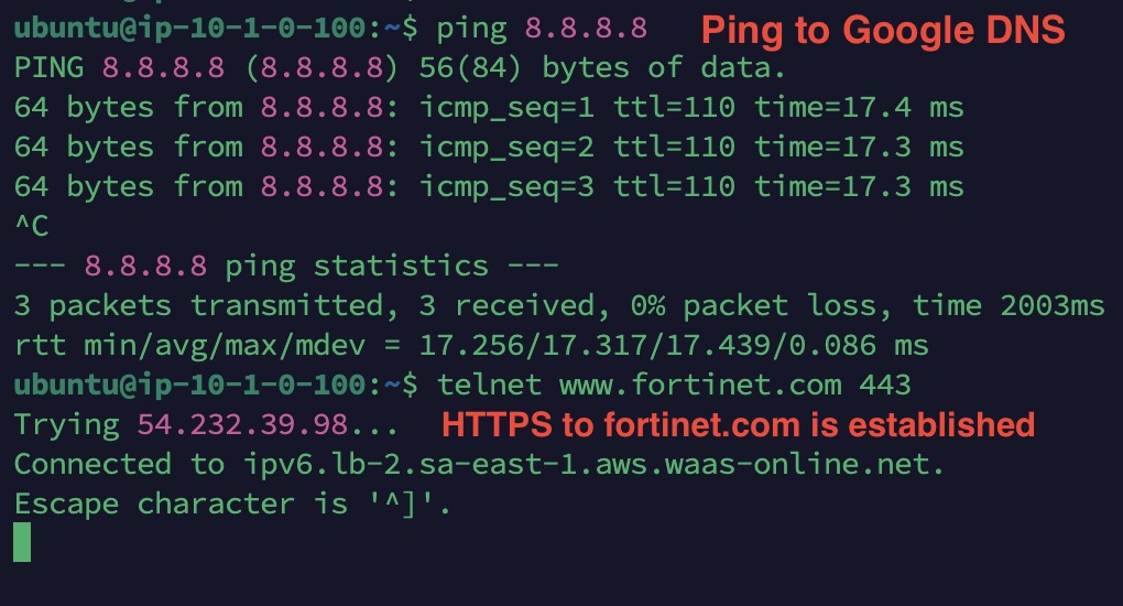 Spoke VM egress connectivity test